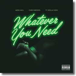 Cover: Meek Mill feat. Chris Brown & Ty Dolla $ign - Whatever You Need