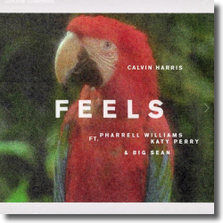 Cover: Calvin Harris feat. Pharrell Williams, Katy Perry & Big Sean - Feels