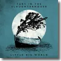 Cover:  Fury In The Slaughterhouse - Little Big World  Live & Acoustic