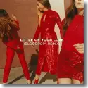 Cover:  HAIM & BloodPop - Little Of Your Love (BloodPop Remix)