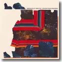 Cover:  Grizzly Bear - Painted Ruins