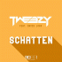 Cover: Tweezy feat. David Loga - Schatten