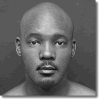 Cover: Data MC - Fever