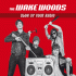 Cover: The Wake Woods - Blow Up Your Radio