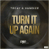 Cover: TeCay & Vandice - Turn It Up Again