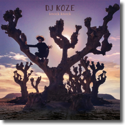 Cover: DJ Koze - knock knock