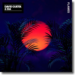 Cover: David Guetta & Sia - Flames