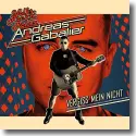 Cover:  Andreas Gabalier - Vergiss mein nicht