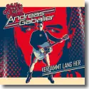 Cover:  Andreas Gabalier - Verdammt lang her