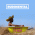 Cover: Rudimental - Toast To Our Differences