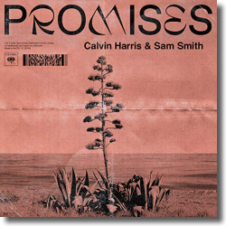 Cover: Calvin Harris feat. Sam Smith - Promises