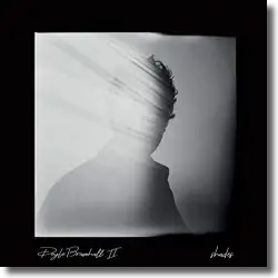 Cover: Doyle Bramhall II - Shades