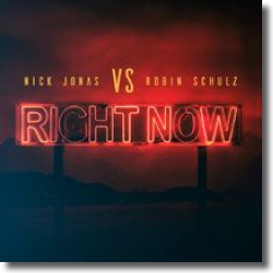 Cover: Nick Jonas vs. Robin Schulz - Right Now