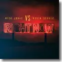 Cover:  Nick Jonas vs. Robin Schulz - Right Now
