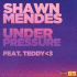 Cover: Shawn Mendes feat. teddy<3 - Under Pressure