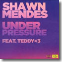 Cover:  Shawn Mendes feat. teddy<3 - Under Pressure