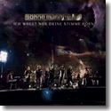 Cover:  Shne Mannheims - Ich wollt nur deine Stimme hrn