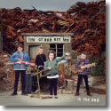 Cover: The Cranberries - In The End