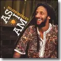 Cover:  Julian Marley - As I Am