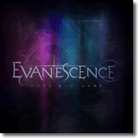 Cover: Evanescence - What You Want