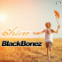 Cover: BlackBonez - Shine