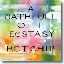 Cover:  Hot Chip - A Bath Full Of Ecstasy