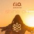 Cover: R.I.O. feat.  Madcon - Shine On