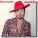 Cover:  Adam Lambert - Comin In Hot