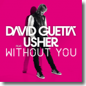 Cover: David Guetta feat. Usher - Without You