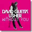 Cover:  David Guetta feat. Usher - Without You