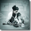Cover: Skylar Grey - Invisible