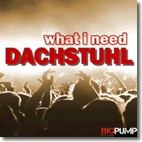 Cover: Dachstuhl - What I Need