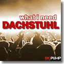 Cover:  Dachstuhl - What I Need