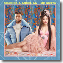 Cover: Shakira & Anuel AA - Me Gusta
