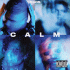 Cover: 5 Seconds Of Summer - Calm