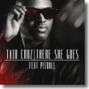 Cover: Taio Cruz feat. Pitbull - There She Goes