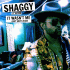 Cover: Shaggy feat. Rayvon - It Wasn't Me (Hot Shot 2020)