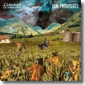 Cover:  Flowers in Concrete & Dim Prospects - Split