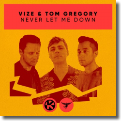 Cover: VIZE & Tom Gregory - Never Let Me Down