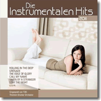 Cover: Die Instrumentalen Hits 2011 - Various Artists