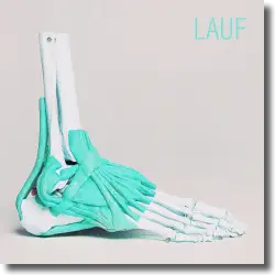 Cover: Matthias Schweighfer - Lauf