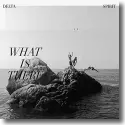Cover:  Delta Spirit - What Is There