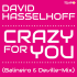 Cover: David Hasselhoff - Crazy For You (Balineiro & Deville Mix)