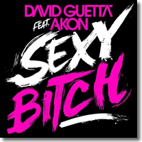 Cover: David Guetta feat. Akon - Sexy Bitch