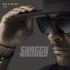 Cover: Shaggy - Hot Shot 2020