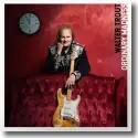Cover:  Walter Trout - Ordinary Madness