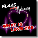 Cover: Klaas meets Haddaway - What is Love 2K9