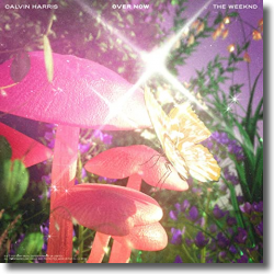 Cover: Calvin Harris & The Weeknd - Over Now