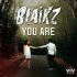 Cover: Blaikz - You Are