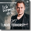 Cover: Noel Terhorst - Ich vermiss dich